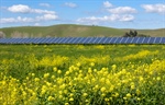 Brownfields open doors for clean-energy development